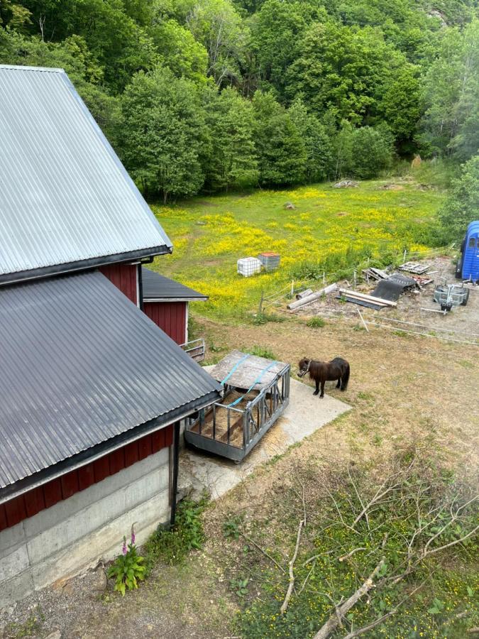 Ferienwohnung Bjorkely Gard Rasvag Exterior foto